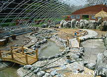 ���B(t��i)���ﾰ�^����