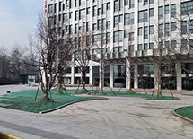 �|�����žG������