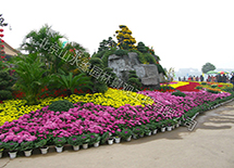 �����(xi��ng)Ŀ