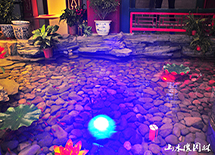 ���w�tľˮϵ