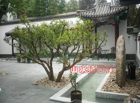 �^���e��ͥԺ