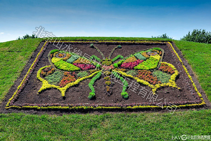 �����(xi��ng)Ŀ8